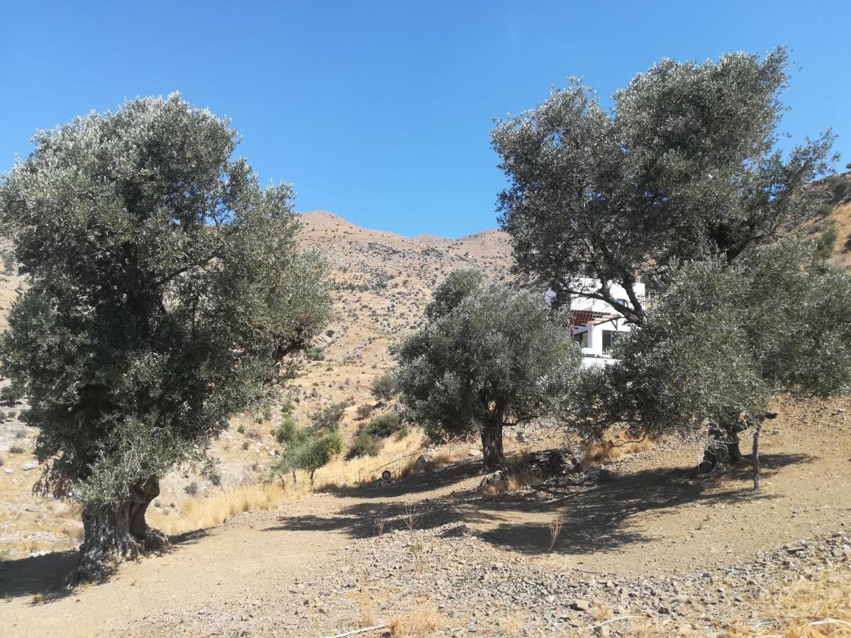 Sea Breeze Ecological Villa Agia Galini Exterior foto