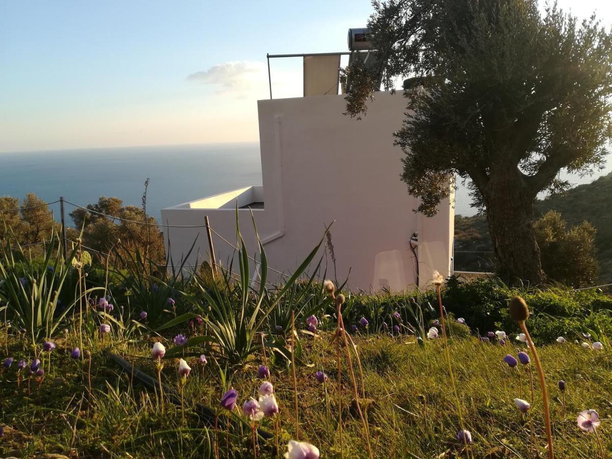Sea Breeze Ecological Villa Agia Galini Exterior foto
